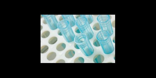 Applied Biocatalysis.jpg